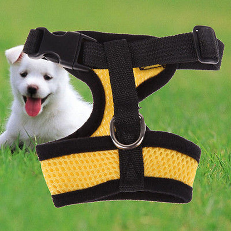 Small pet harness