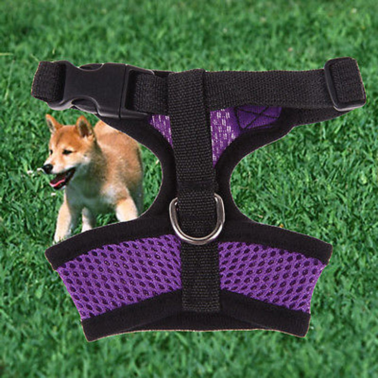 Small pet harness