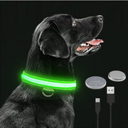 LED glowing adjustable collar