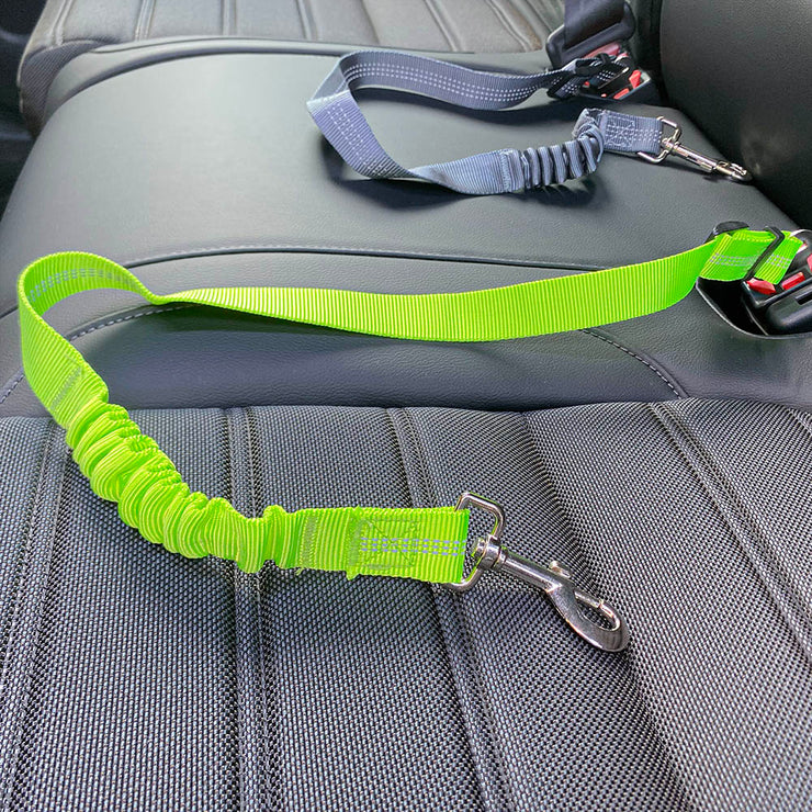 Pet car seat belt