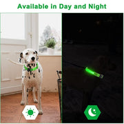 LED glowing adjustable collar