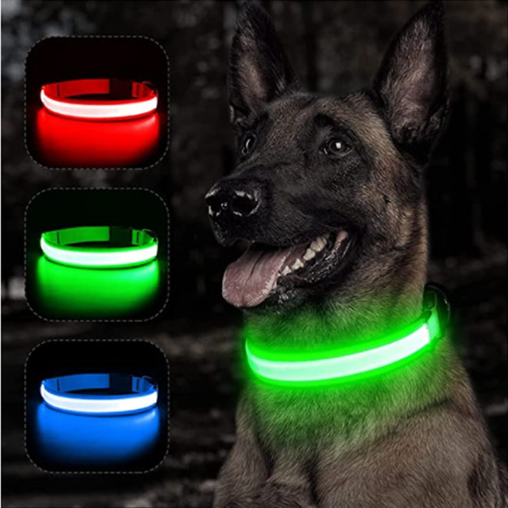 LED glowing adjustable collar